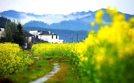 《许峰诗歌研究院》优秀教师肖祥凤先生诗歌欣赏《站在异乡的路口》【总第235期】（图2）