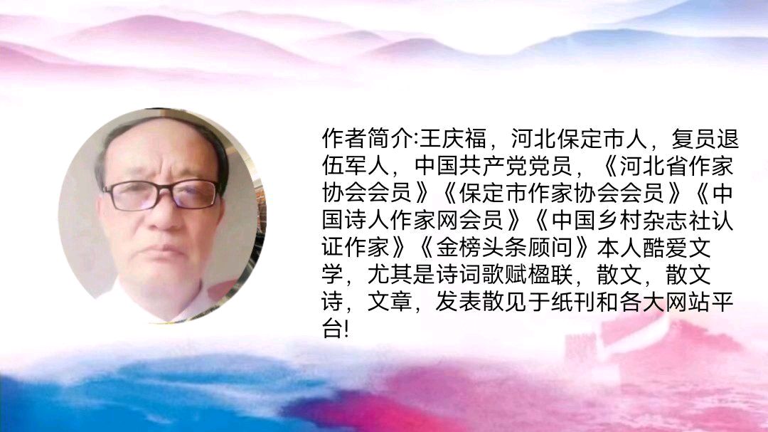 《芳心老 知音杳》作者/庆福 主播/红霞 主编/胡琴（图4）