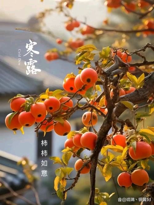 【红色文化站】传媒诗词精典（图2）