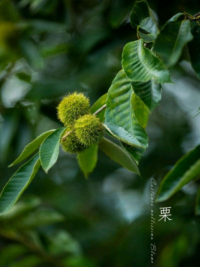 【红色文化站】传媒诗词精典（图8）