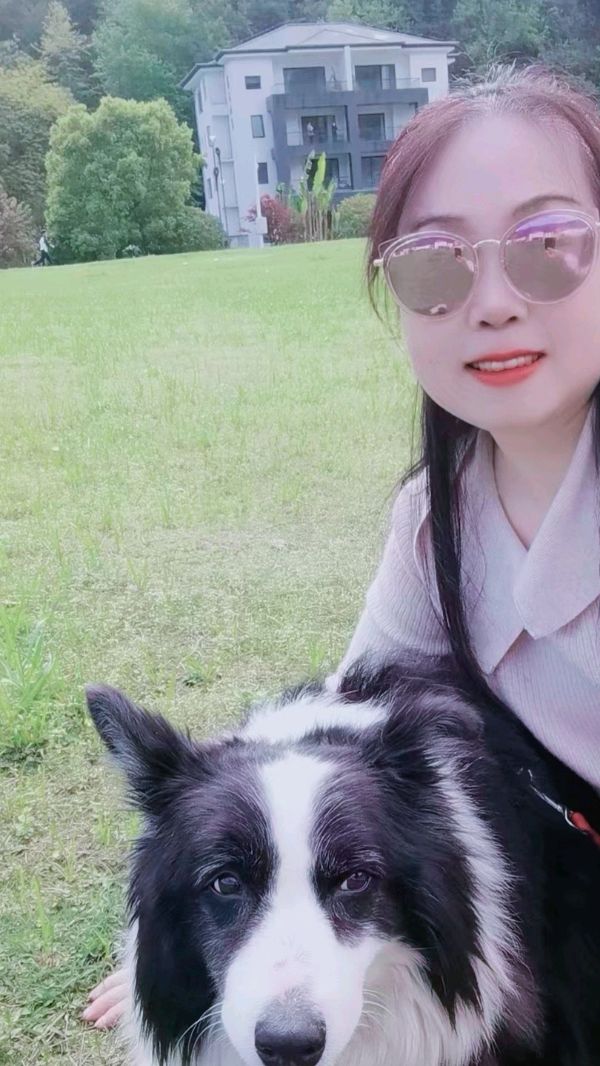 《许峰诗歌研究院》同题诗《咏忠犬》专刊【总第236期】（图7）