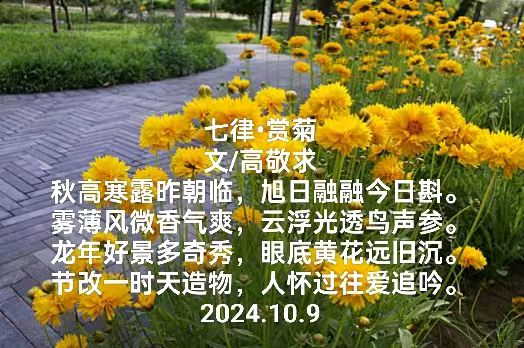 《七律 · 赏菊》文/高敬求（图2）