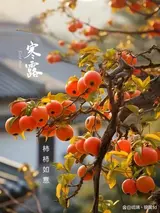 陕西张志民《画笔》（图7）