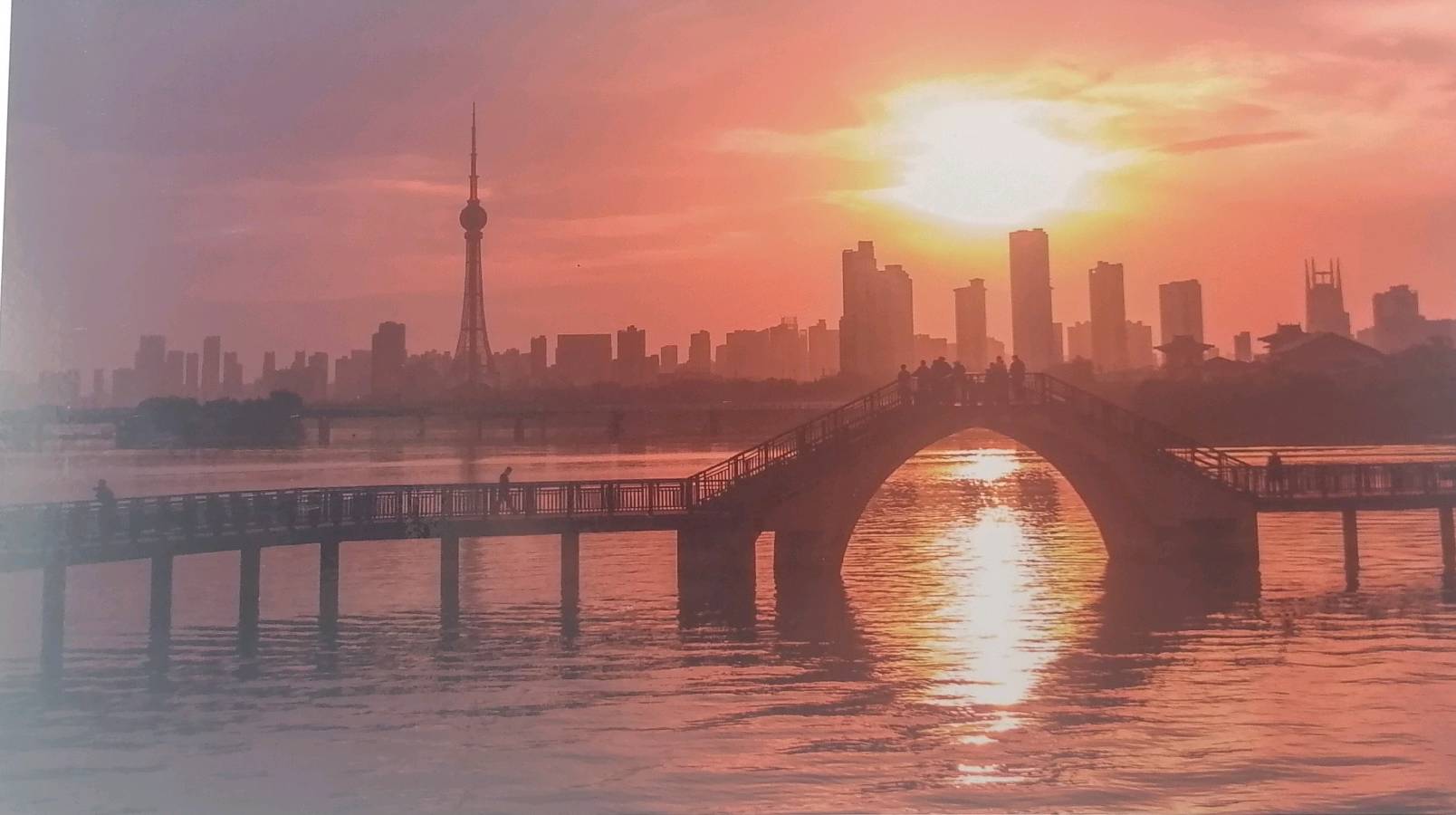 青青子衿（图2）