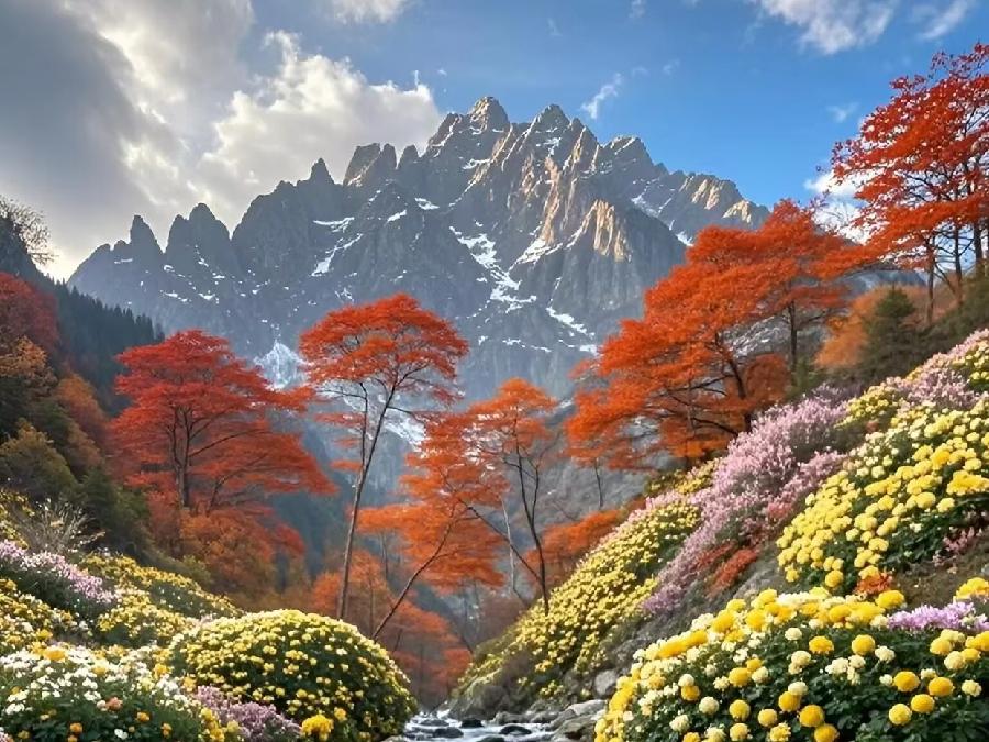 又约重阳（文/许碧霞）……莲叶之珠文学社（图4）