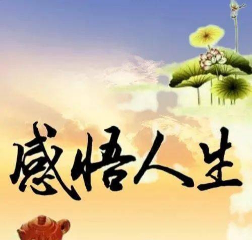 【新山东文学】《高贵的人生品格》作者/边风 主播/梅妃(图3)