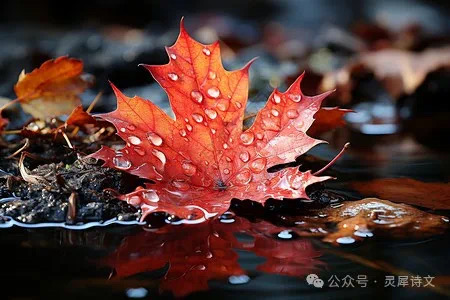 灵犀诗文乐园联诗. 闲庭小苑飘落红(图7)
