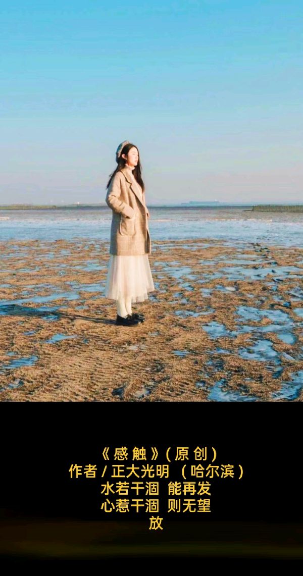 荐赏:💖 题图微诗三首//作者 / 正大光明 ( 哈尔滨 )//《诗歌万里行》征稿……(图5)