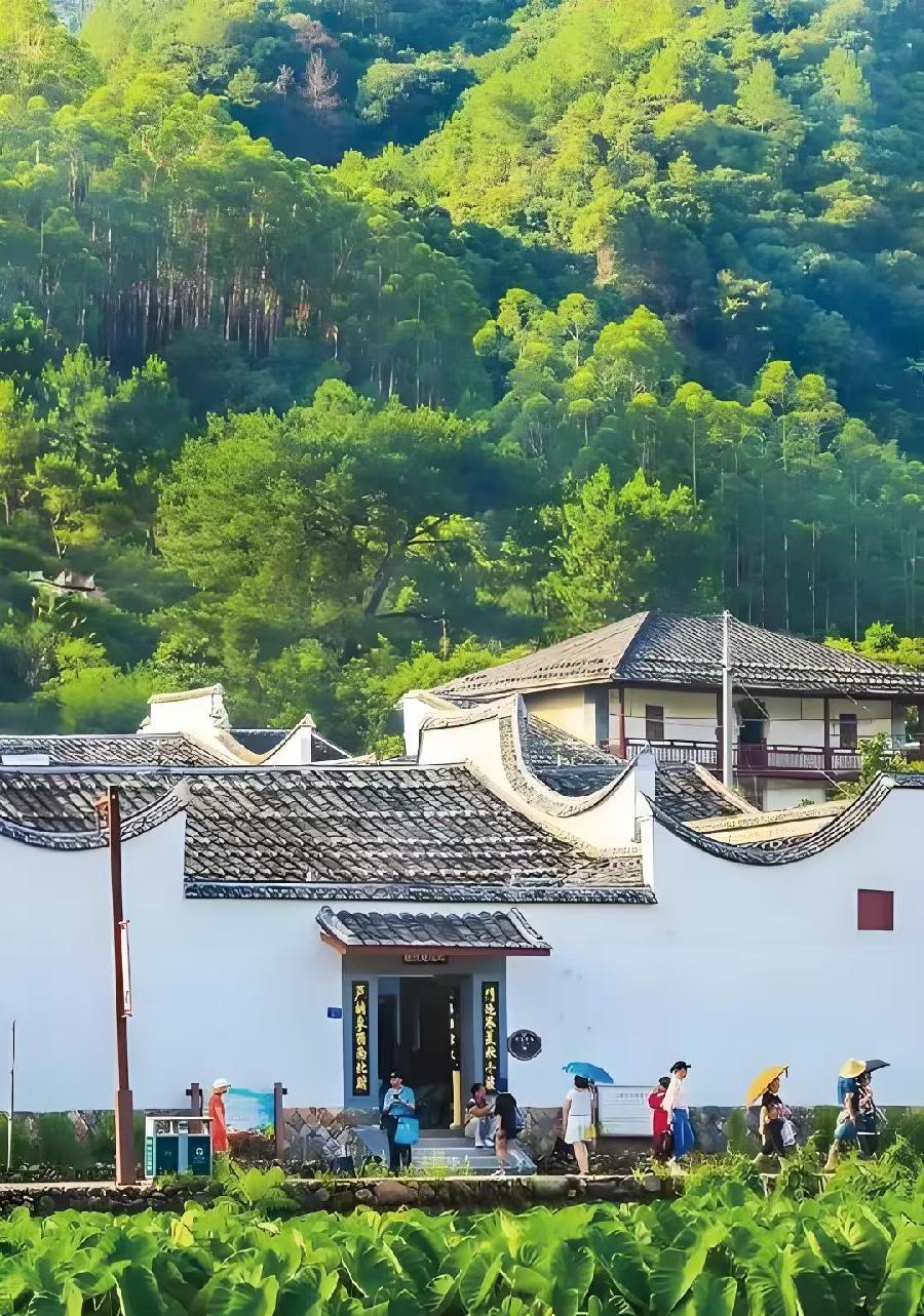 王方 云龙轶事（图4）