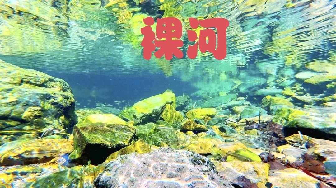 文 雕 匠 人——读《裸河》小说片段有感——作者/王圣才（大连）