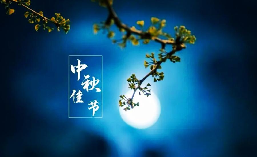 杨天亮与孟国泰:同频共振,同道共进,同梦共赢(图3)