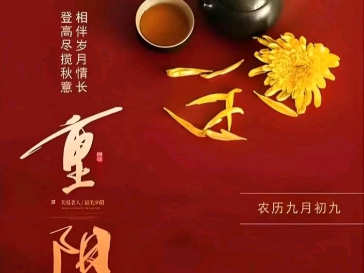 联机全球发布牟福香《精彩晨语》（图86）