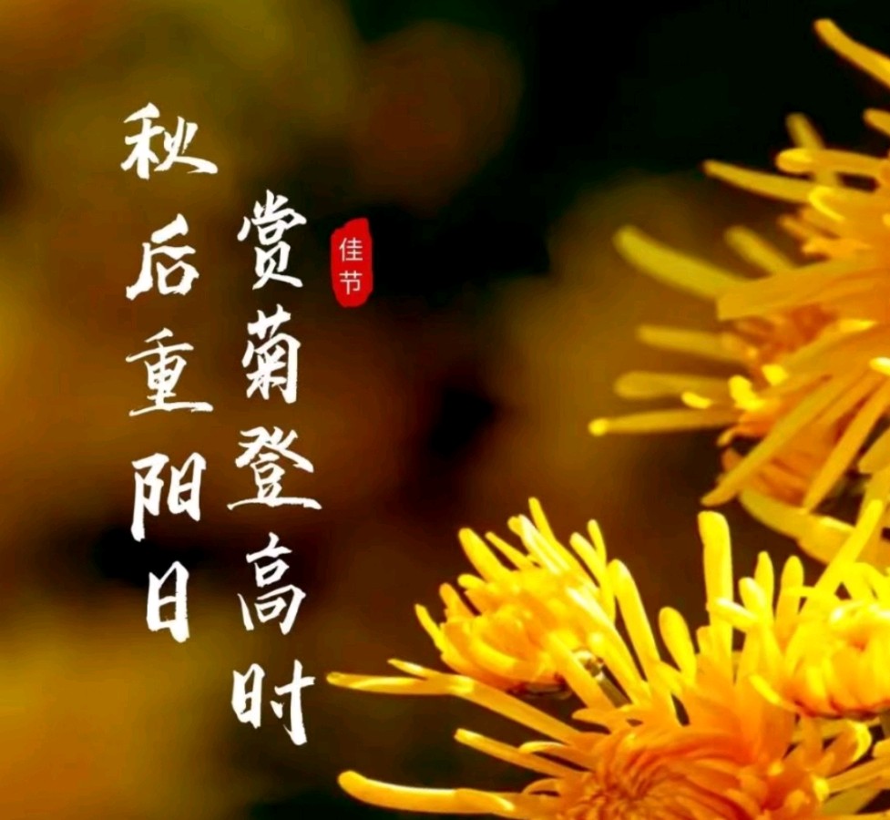 遥远的故乡_我的梦