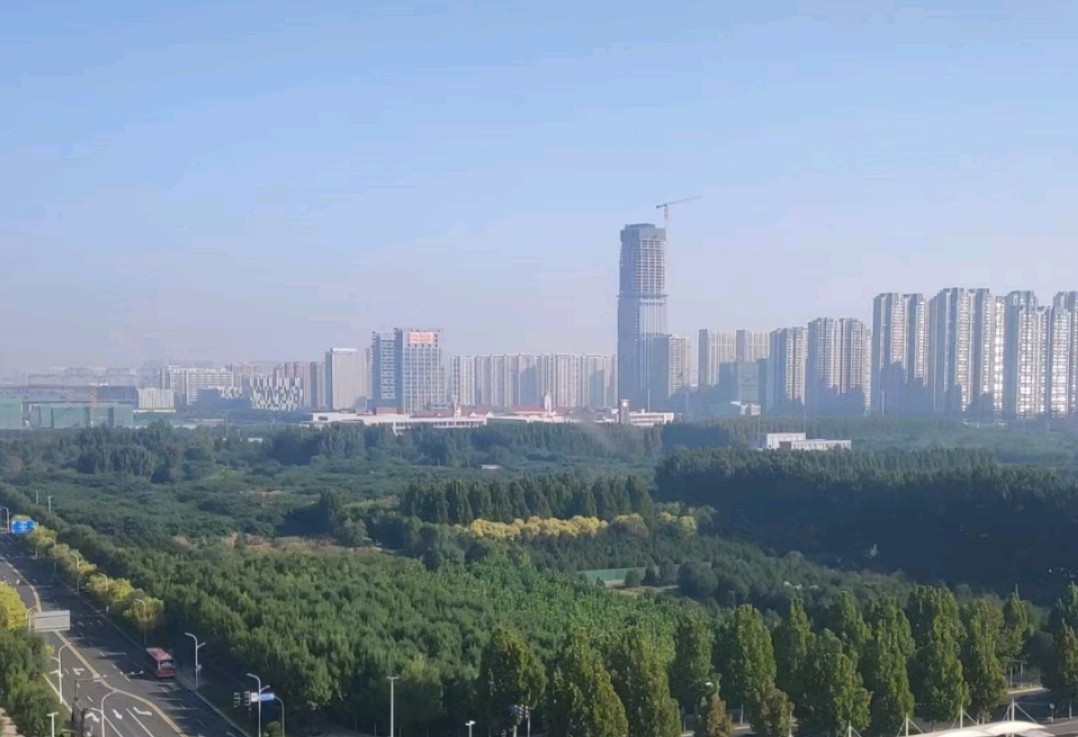 楼前唯一的绿地