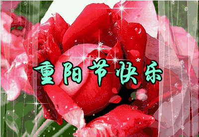 【中华好诗词】分享（上海）优秀诗人纪金东先生词《永遇乐·重阳登四行仓库》请欣赏（图7）