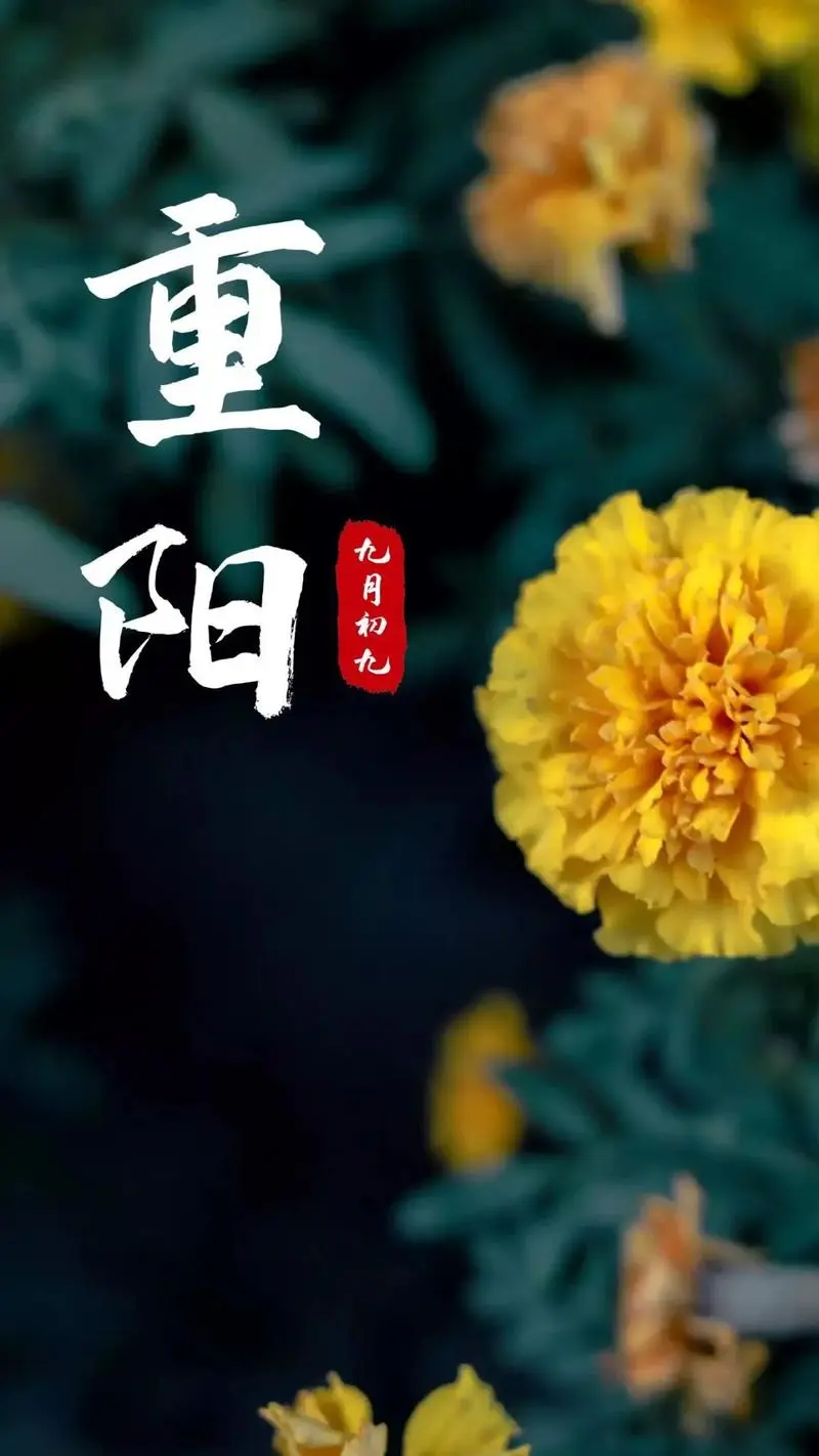 重阳有寄‖巴彦诗词楹联协会【753】（图4）