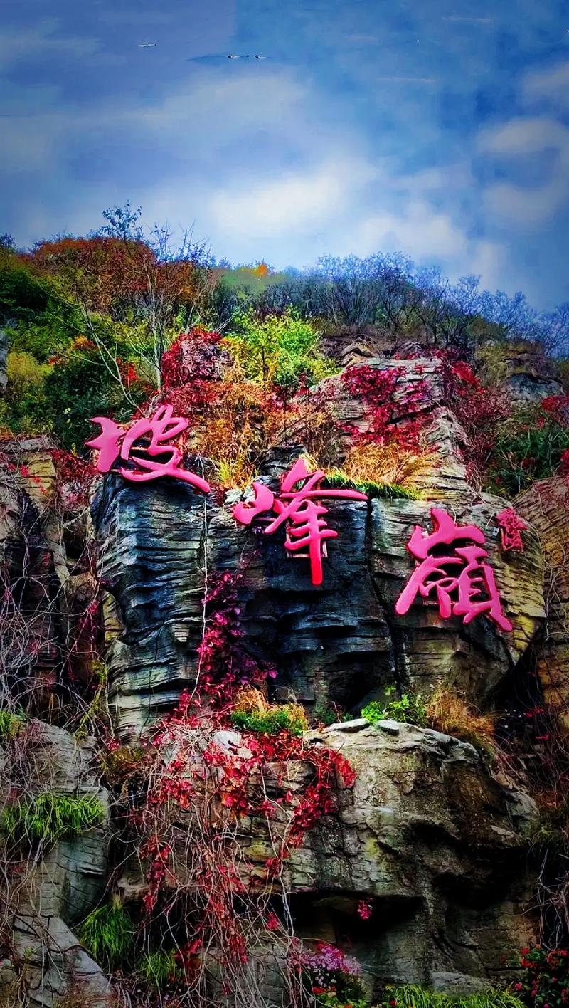 江城子-重阳节坡峰岭登临赏寄～词||刘瑞宝（图14）