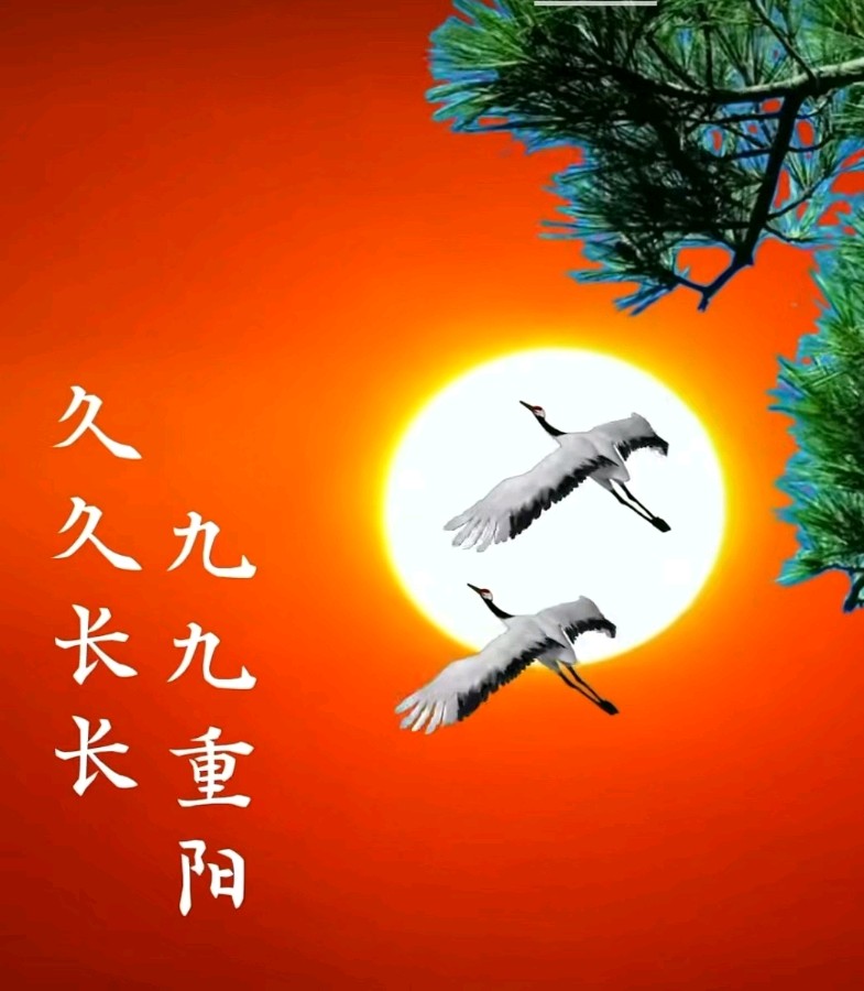 《九江文学社：北京头条》《甲辰重阳节》专刊（图13）