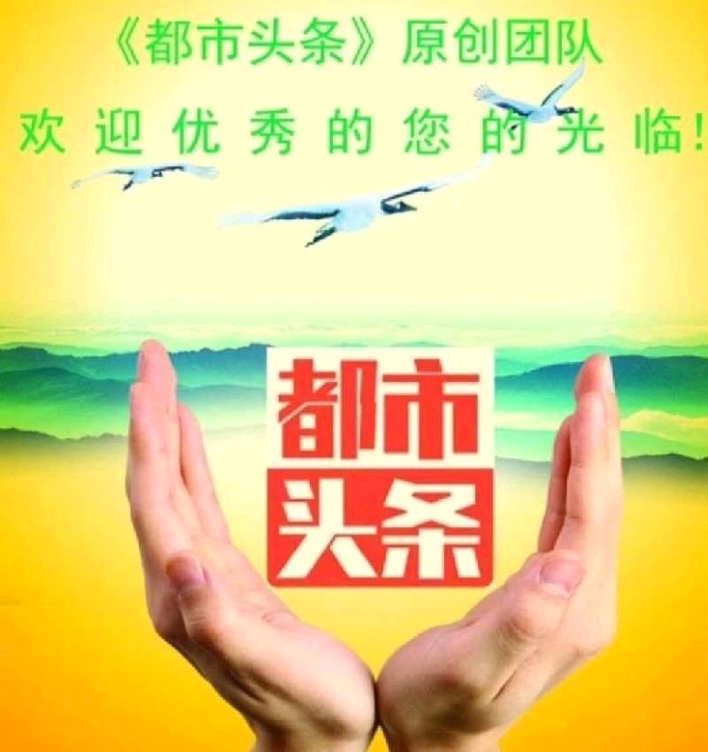 银龄展风采，重阳庆辉煌（图12）