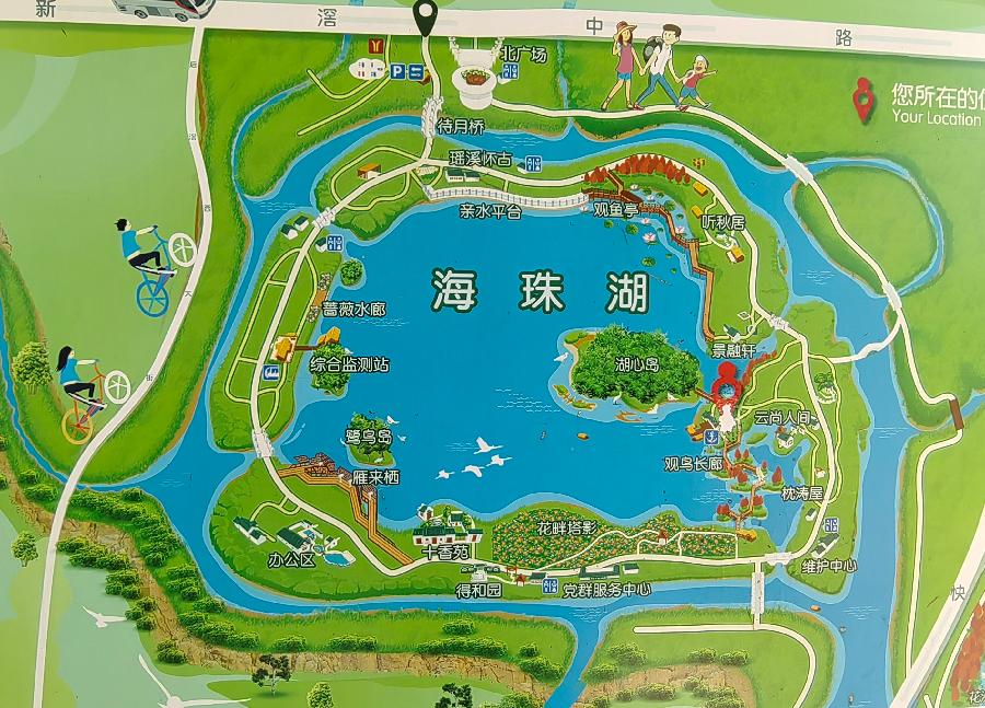 游海珠湖湿地公园/江冲