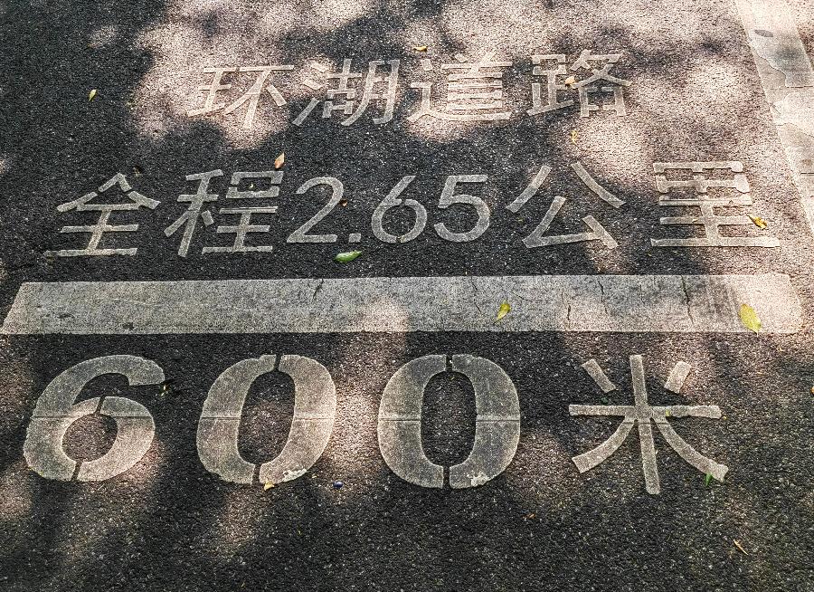 游海珠湖湿地公园/江冲（图5）