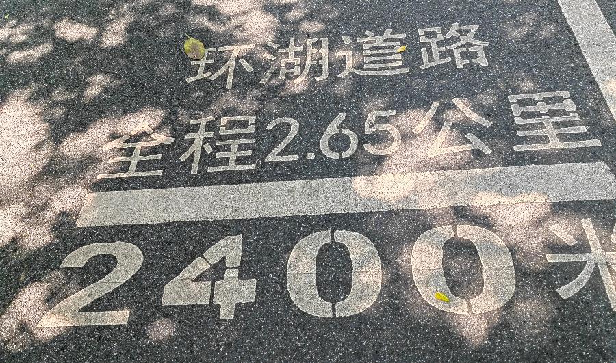 游海珠湖湿地公园/江冲（图9）