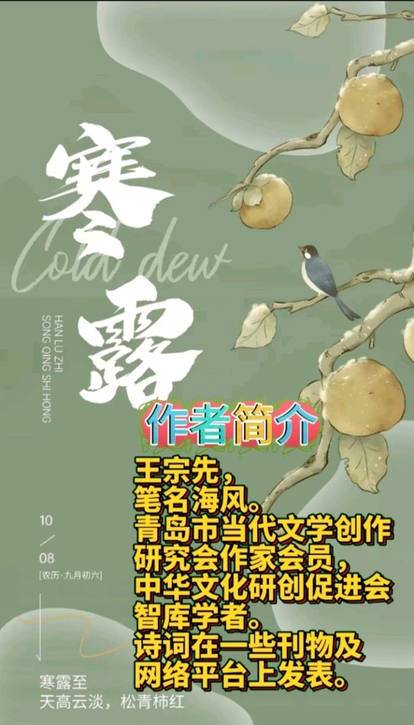 《现代诗人作家海风现代古诗鉴赏》作者:王宗先 [中国现代诗歌文化传媒]（图10）