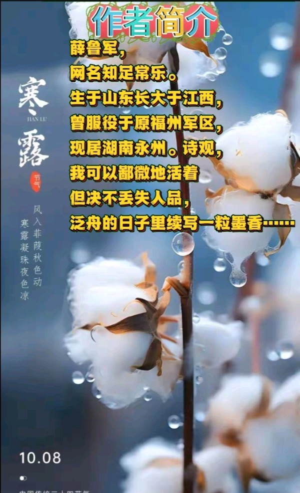 《原创微诗一组》作者:薛鲁军 [中国现代诗歌文化传媒]（图8）