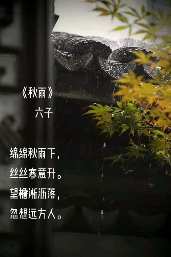 卢龙诗社阿莲绝句【红色文化传媒】005期主编·润牙子（图2）