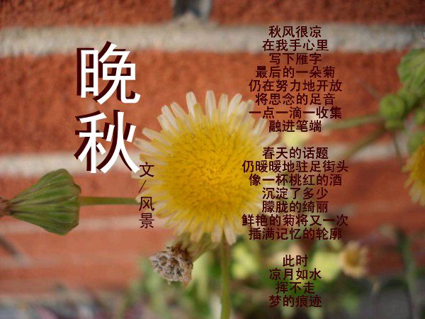 《刘文波诗词创作古诗七律》作者:刘文波 [中国现代诗歌文化传媒]（图6）