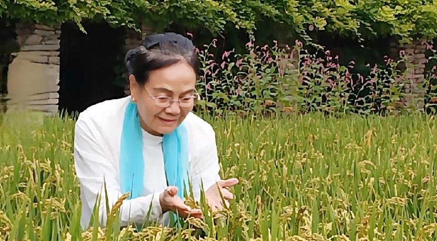 刘林丽诗歌作品《笑靥如花的我们》合诵【五月的鲜花诗歌朗诵艺术团】部分团员（图10）