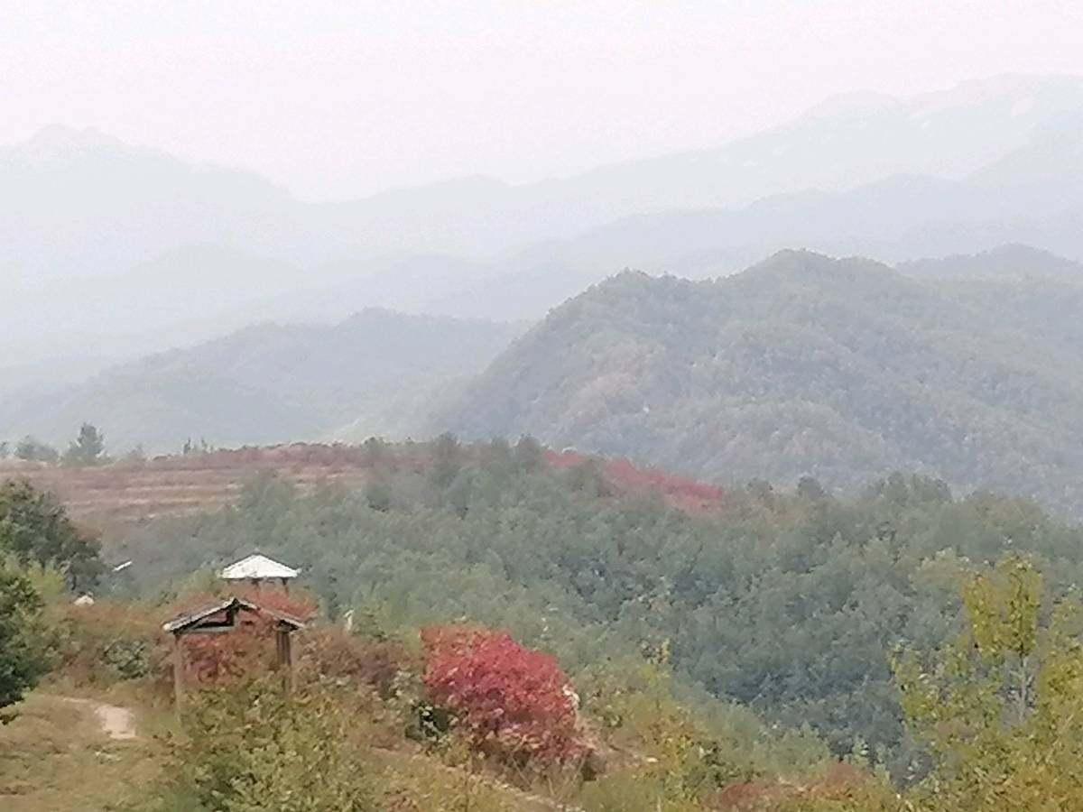 秋末（图2）