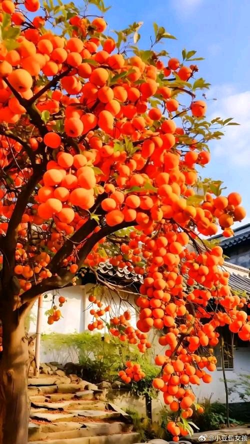 【七律五首】作者·李聿尧（白城）主编·润牙子【红色文化传媒】（图2）