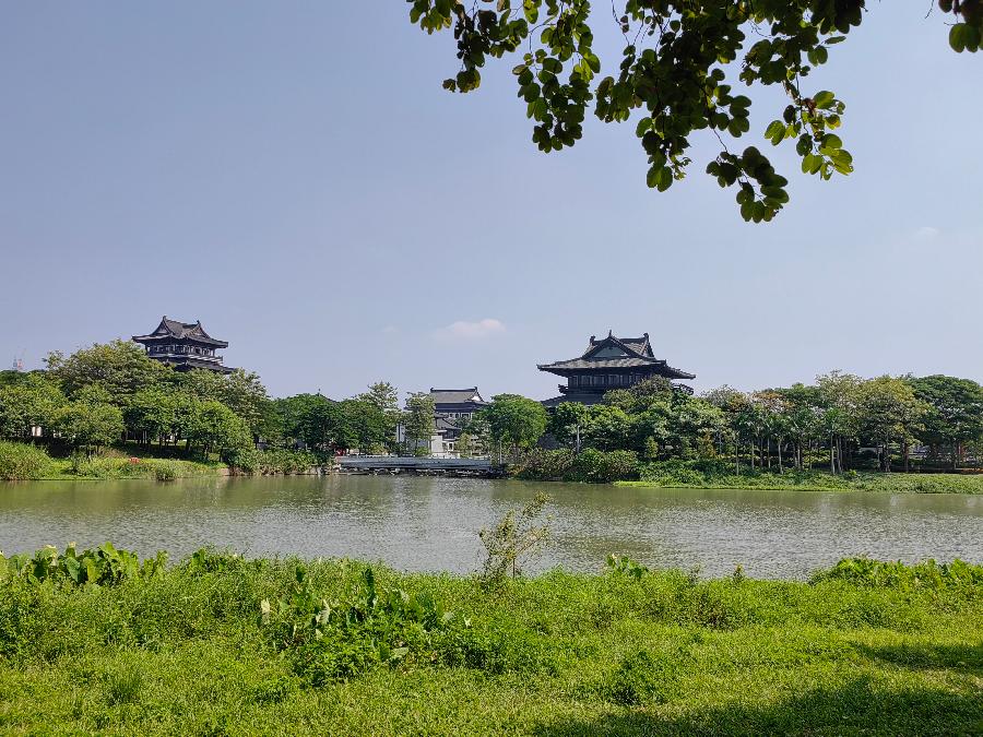 五律. 海珠湖（外二首）文/江冲（图8）