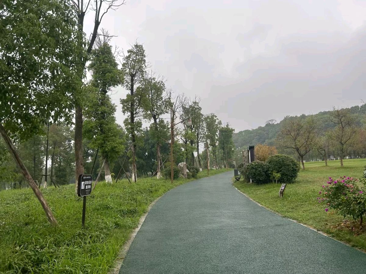 秋天，属于悠闲的坐客