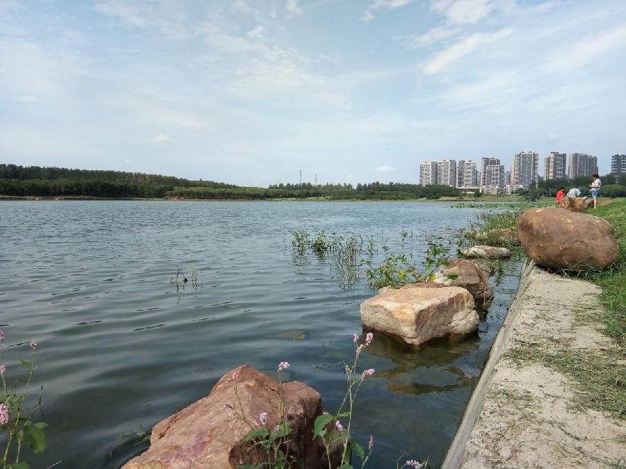 【荣耀中国】五律·丁香湖李鹏飞（内蒙古）（图4）