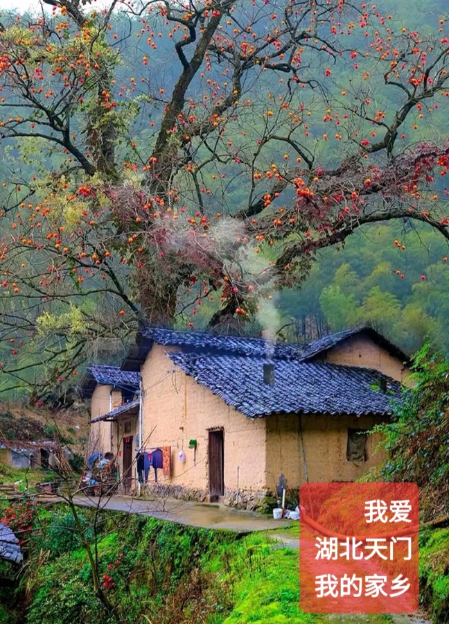 蒋三德不忘初心 情系故乡（图3）