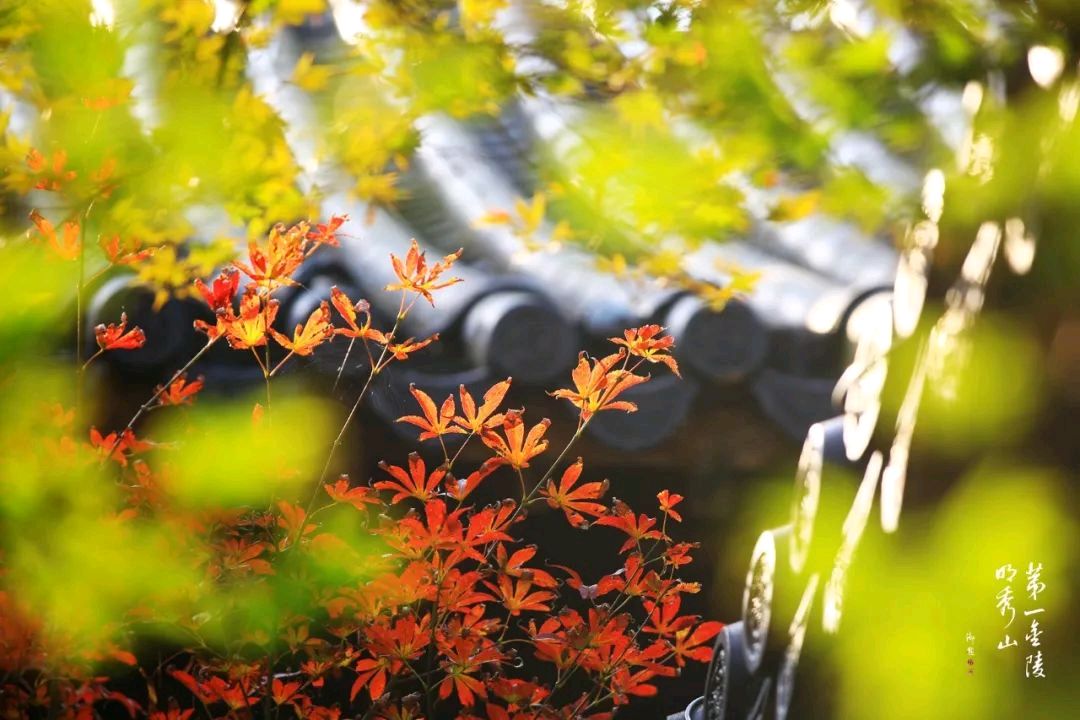 国风吉林社诗人郑占荣（河北）2024年格律诗词专辑【十四】—北京头条（图3）