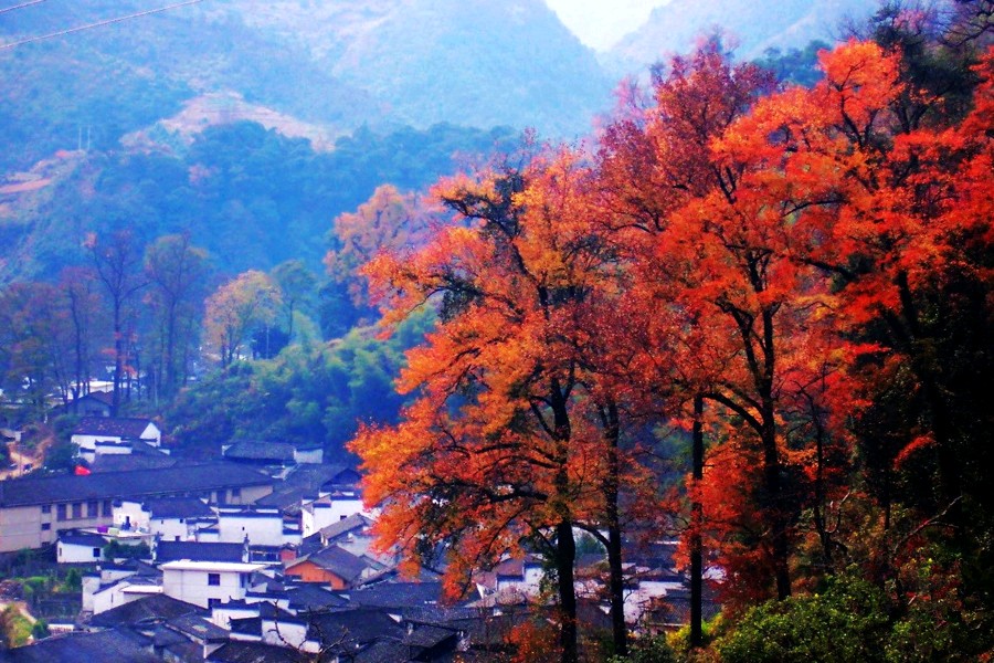 国风吉林社诗人郑占荣（河北）2024年格律诗词专辑【十四】—北京头条（图4）