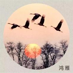 【文学天地】鲁坡//王者归来引领潮流（图7）