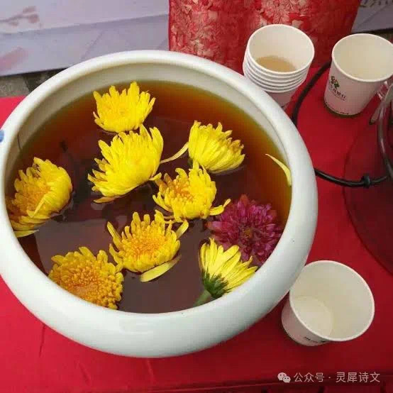 灵犀诗文乐园联诗.2024重阳节（图7）
