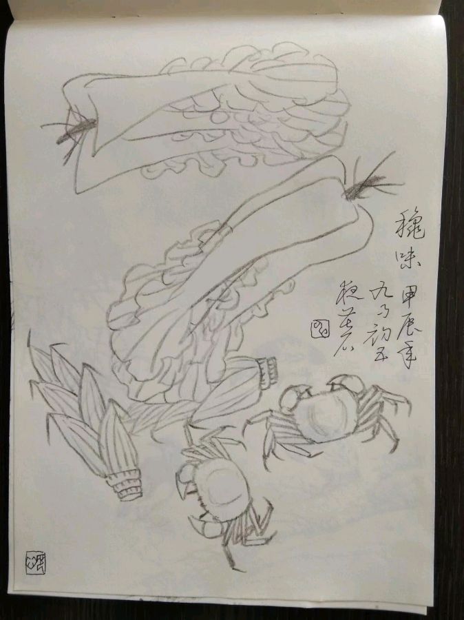 【都市头条向幸福出发编辑部】第12645期 申志辉先生作品135（图7）
