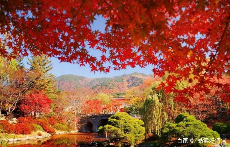 推荐丨李民绥 九和心语之189