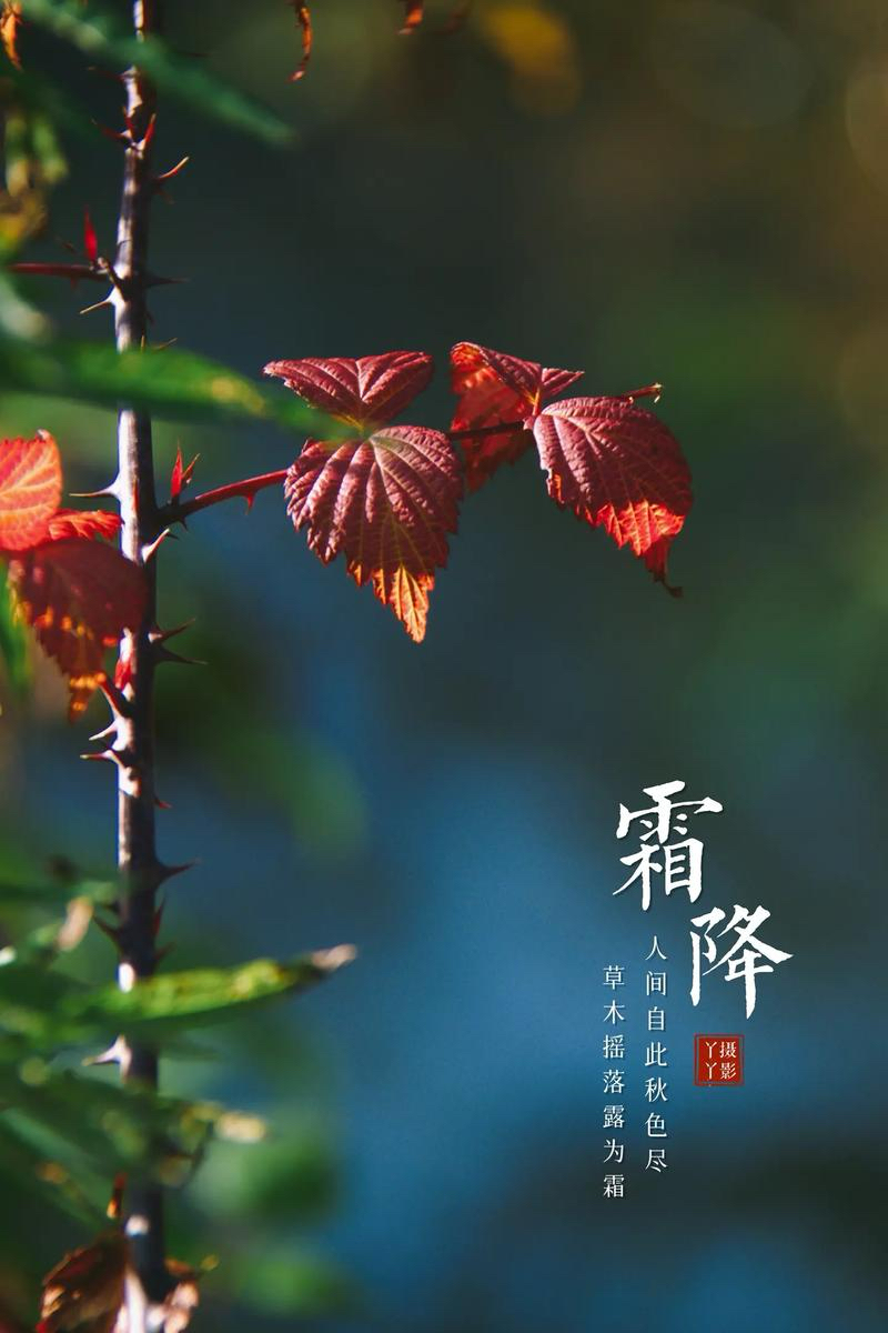 武庆兵：《等待一场霜降》海外头条（图5）