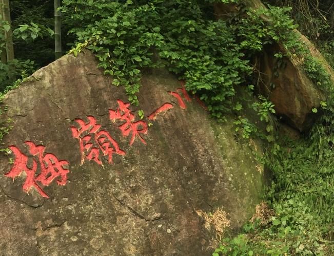 【经典推荐】杨武军//江西南昌的六天五夜（二）走革命“红色圣地”有感（图5）