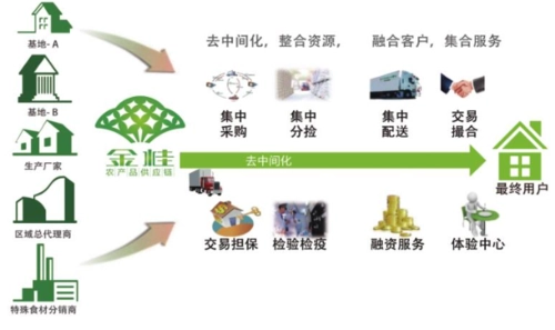 《2024年下半年以来蔬菜价格为何越来越高》 文:强军/陕西宝鸡(图2)