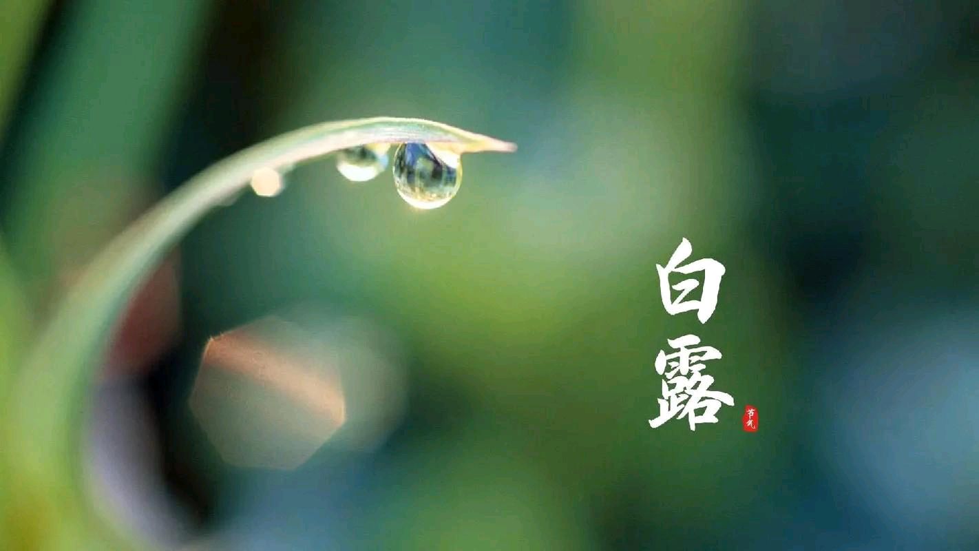 推荐丨许日辉（辉叔）先生 白露重阳后七绝诗二十四首