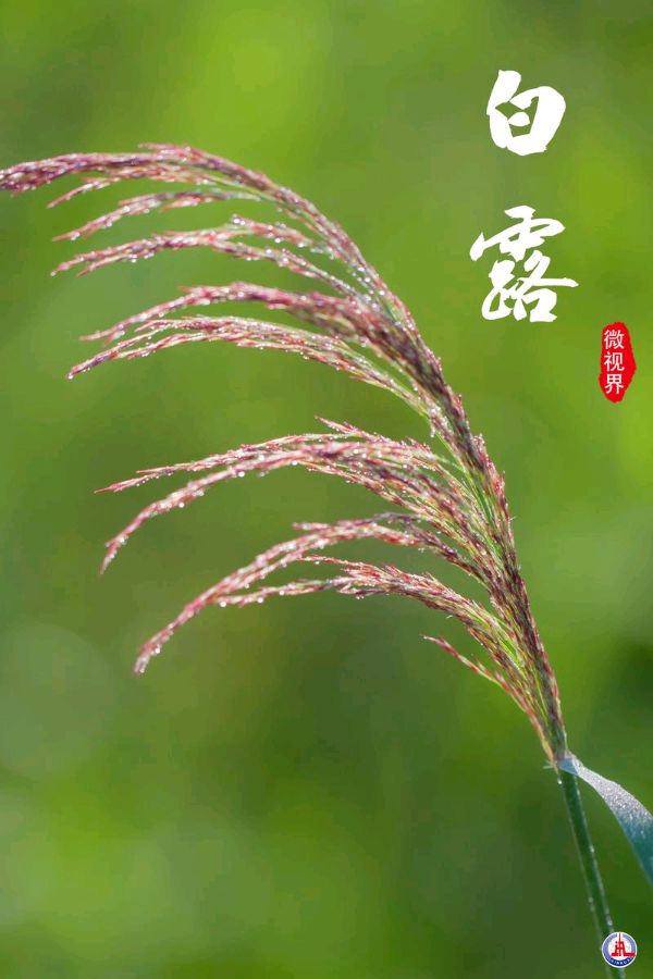 推荐丨许日辉（辉叔）先生 白露重阳后七绝诗二十四首（图3）