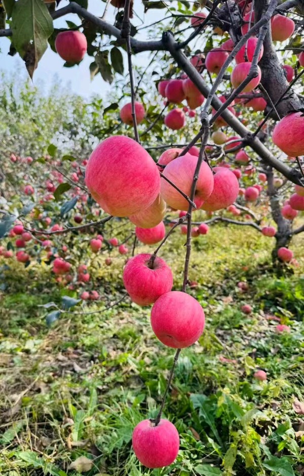为李红兵战友摄影配诗～诗||李耀文（图18）