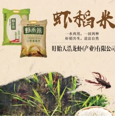 盱眙虾稻米～诗||朱学钊（图9）